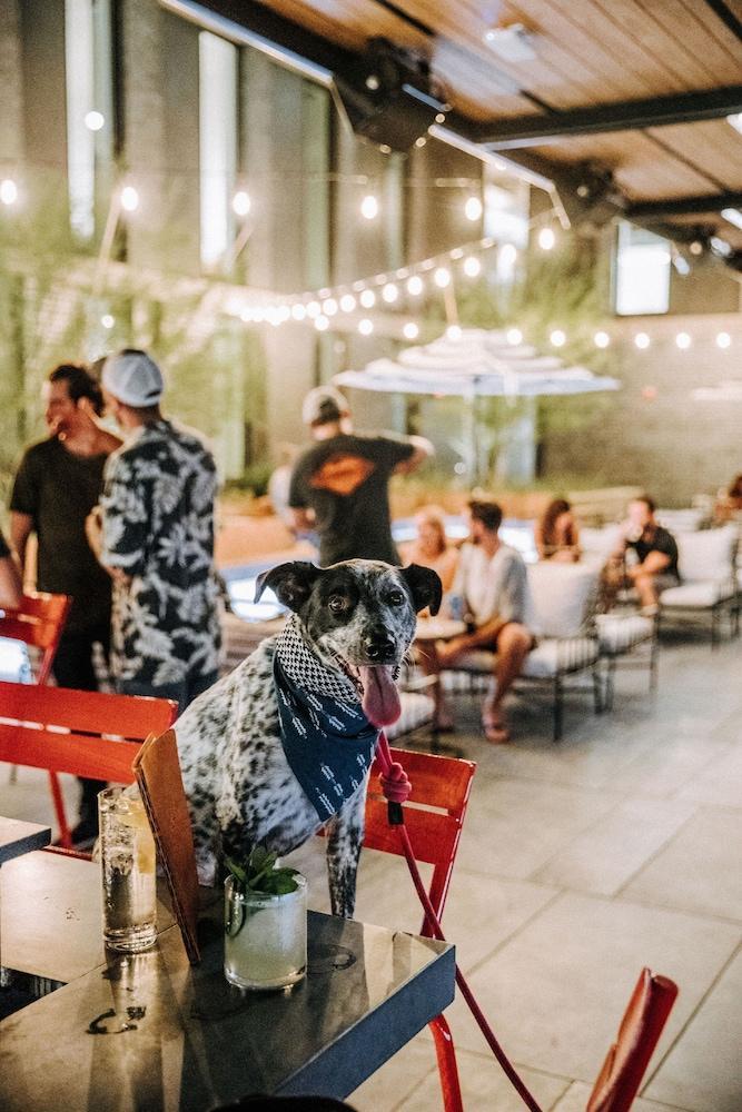 Arrive Austin酒店 外观 照片
